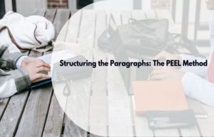 Structuring the Paragraphs